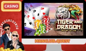 dragon tiger manclub